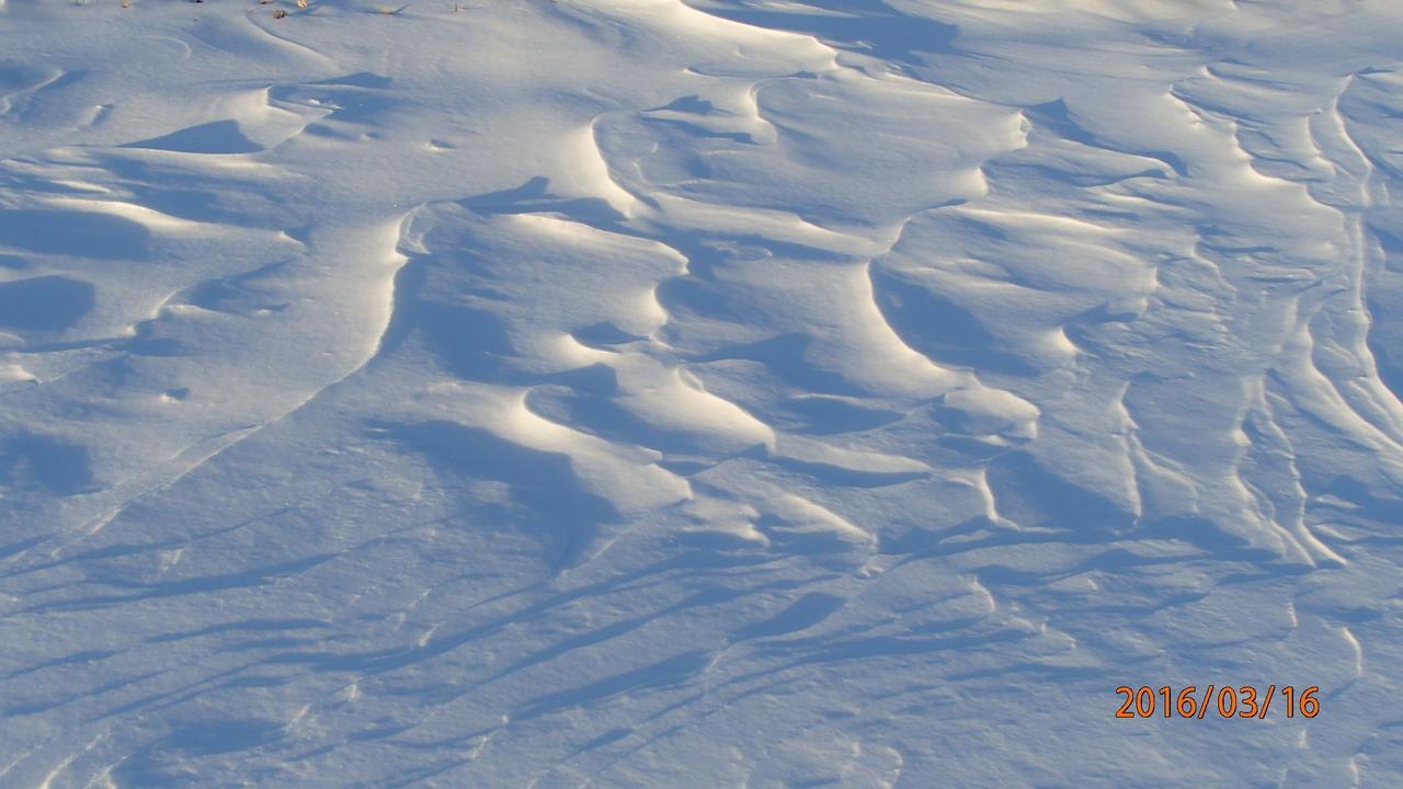志賀パレスホテル 山ノ内町 エクステリア 写真