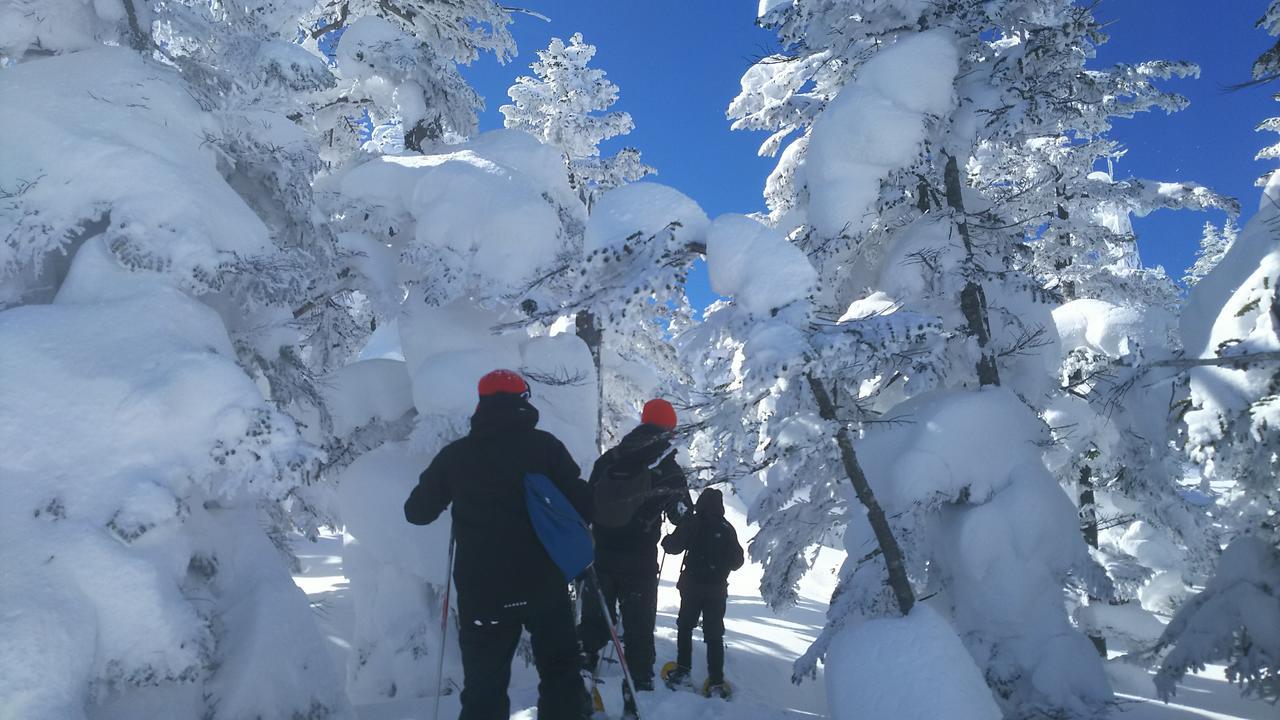 志賀パレスホテル 山ノ内町 エクステリア 写真