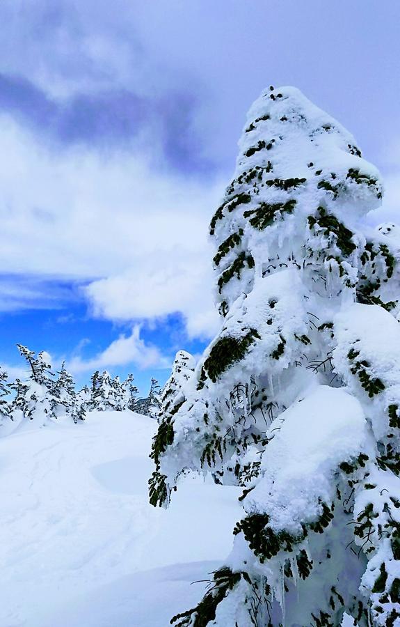 志賀パレスホテル 山ノ内町 エクステリア 写真